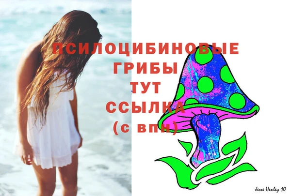 прущая мука Верея
