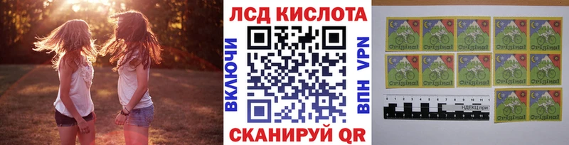 Купить закладки  Железногорск-Илимский  Марки NBOMe 1,8мг 